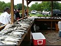 Southern Exposure Fishing - Inland Fishing Charter